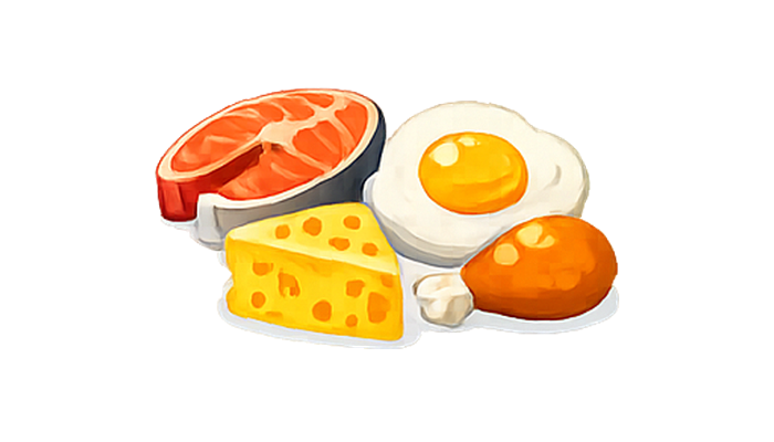 Vitamin B12 food illustration